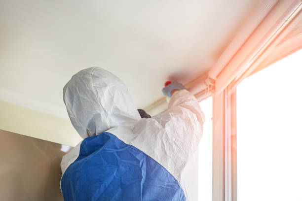 Best Mold Remediation for Rental Properties  in USA